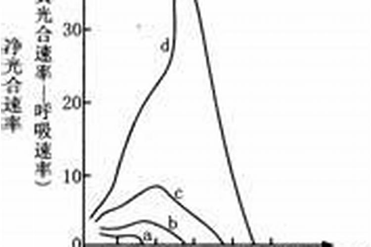 磷肥对植物光合作用的影响