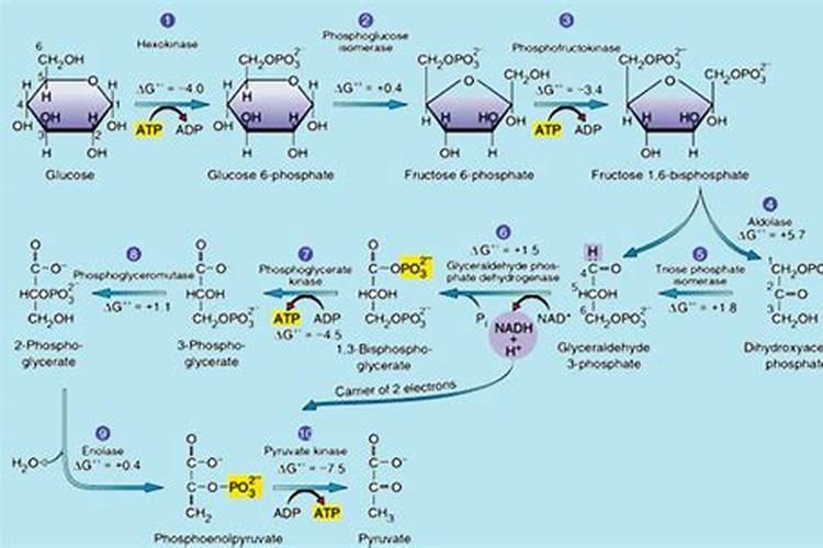醋醋和杀虫剂杀菌剂可以混合配吗