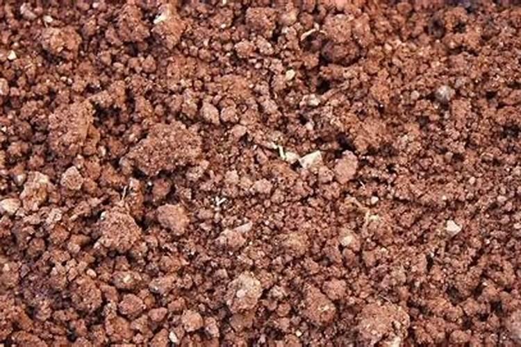 红壤有什么特征？