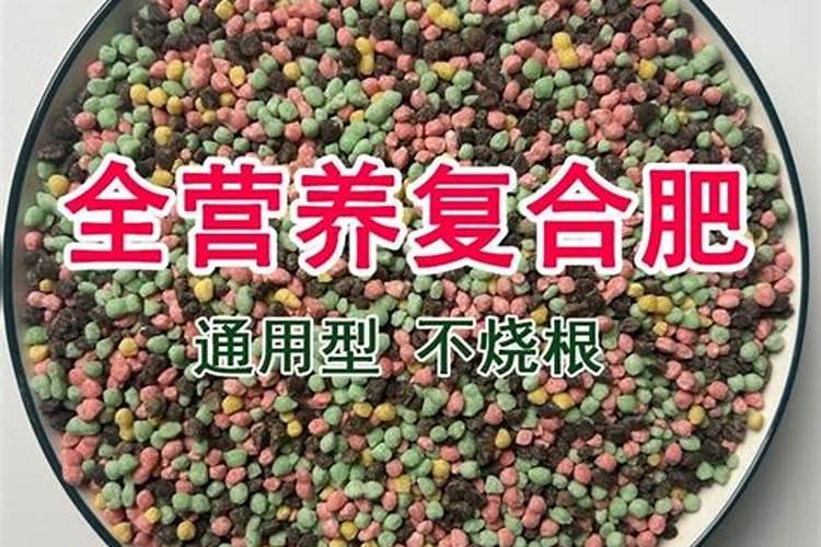 茶树用什么肥料好