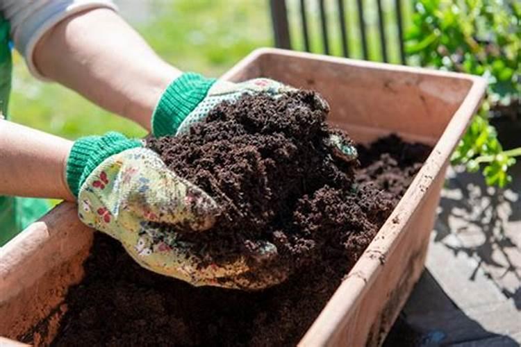 桃树磷酸二氢钾的使用方法和用量