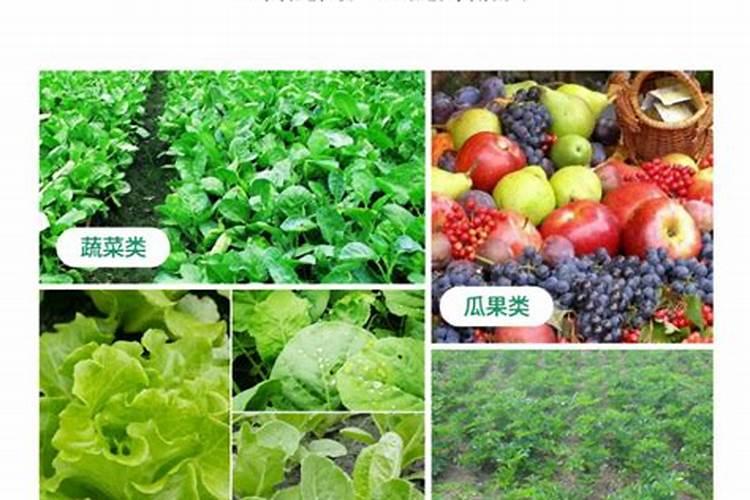 甲维氯虫苯,阿维啶虫脒和大量元素水溶肥料一起打对黄瓜有什么副作用