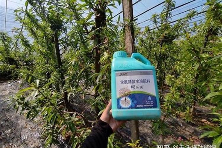 腐殖酸水溶肥料的作用有哪些？