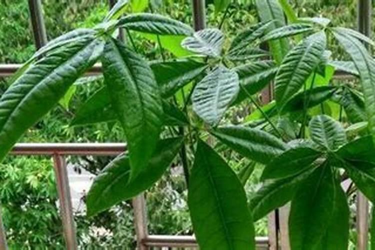 请问土壤检测方法有哪些？求哪位解答下这个话题