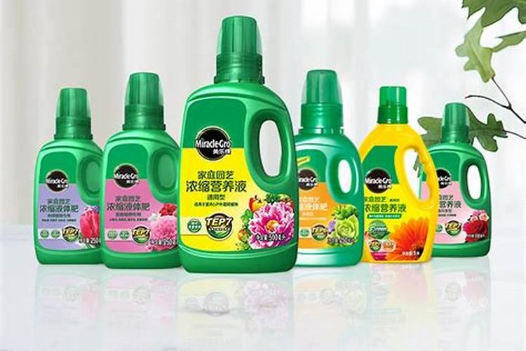 长寿花用营养液养还是用农家肥养好？