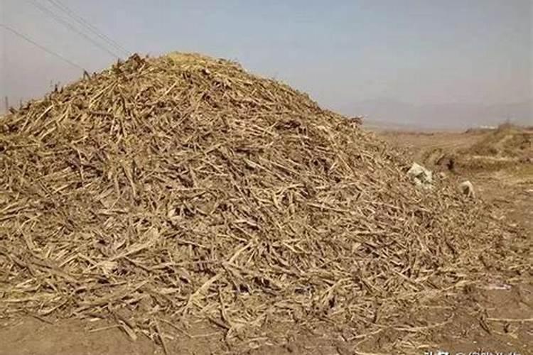 堆肥玉米皮属于碳还是氮