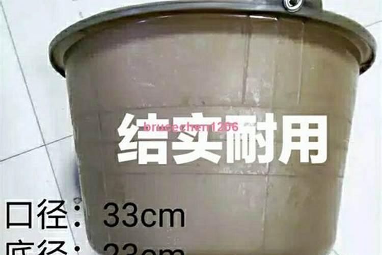 金不换是什么东西？