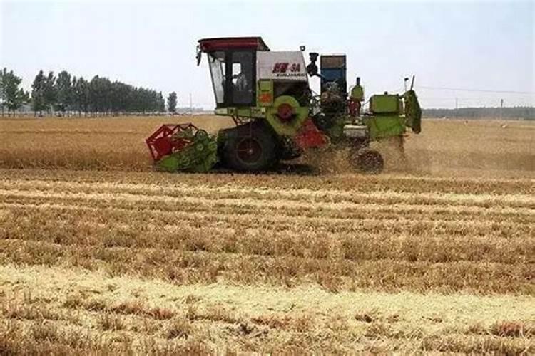 鱼蛋白液体肥使用方法 简述鱼蛋白液体肥使用方法