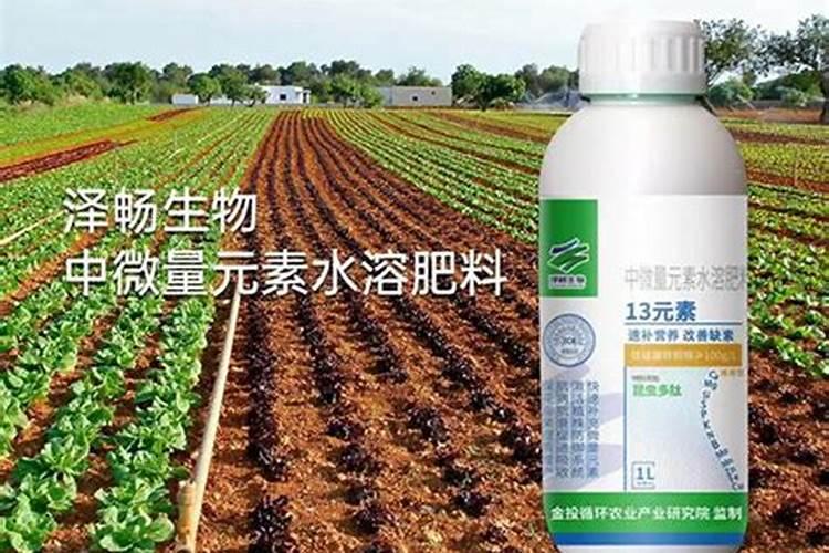 毛竹的几种施肥方法