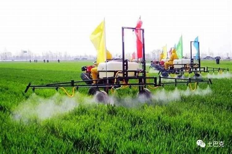 氧乐果和磷酸二氢钾喷紫微花叶面肥可以吗？