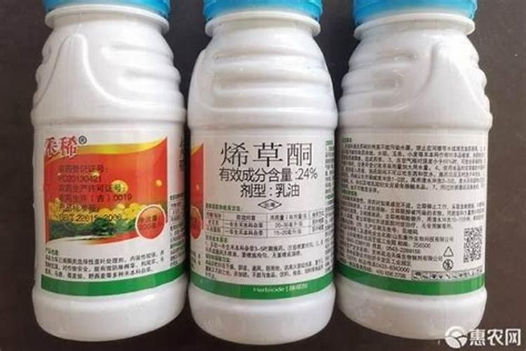 氧乐果能兑磷酸二氢钾喷小麦吗