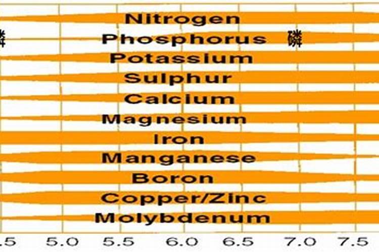 哪些肥料可以混合施用