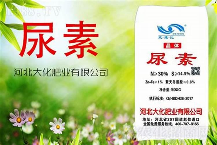 怎样鉴别常用化学肥料的种类？