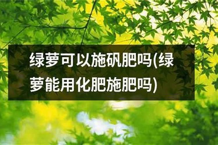 花卉可以施农用化肥吗