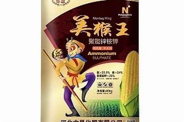 冬季室外养花暖棚注意事项