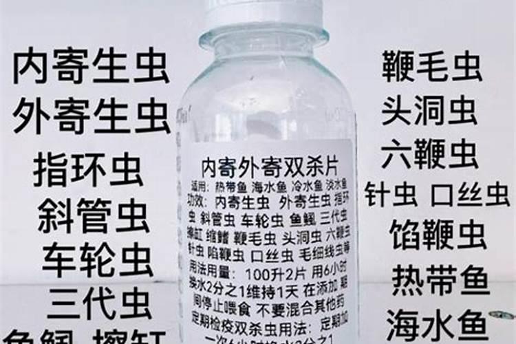 白线虫和蛋白虫的区别