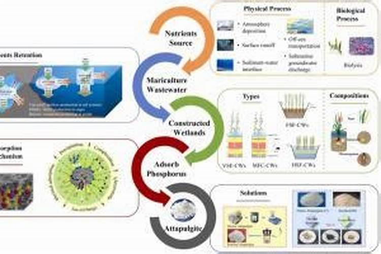 过磷酸钙跟石灰用在农田哪个好