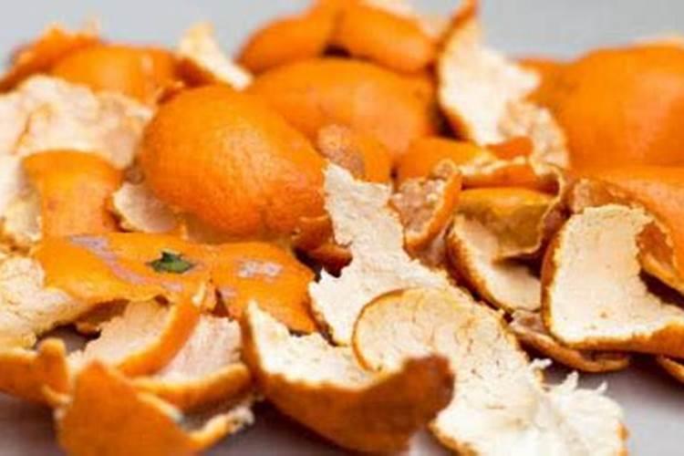 橘子皮晒干如何做花肥 如何用橘子皮沤制花肥