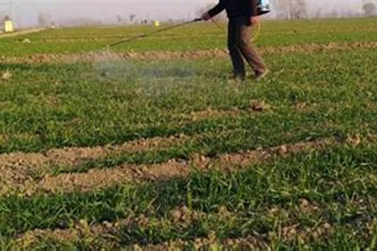 辛菌胺,能和液体氮肥混用吗