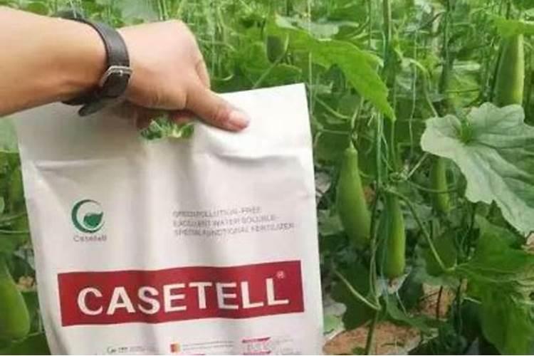 爱好养花的人,在生活中用什么肥料可以避免异味、肥害？