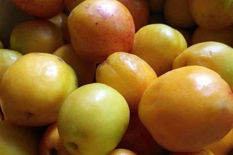 叶面喷施硼肥的最佳时间