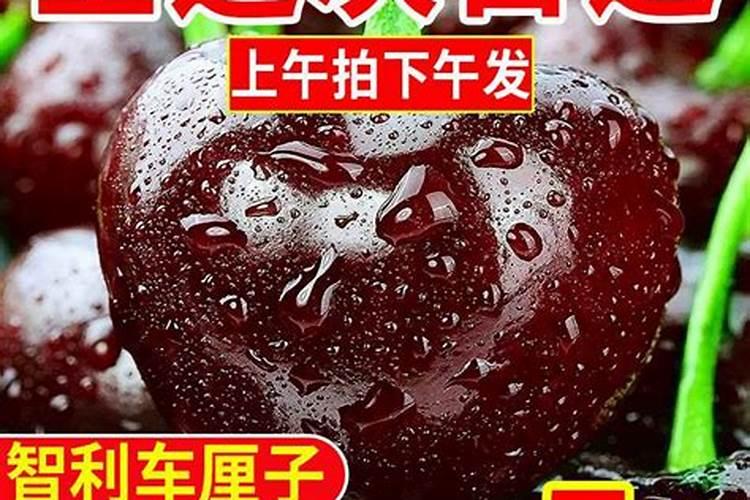 叶面喷施硼肥的最佳时间硼肥应该怎么用