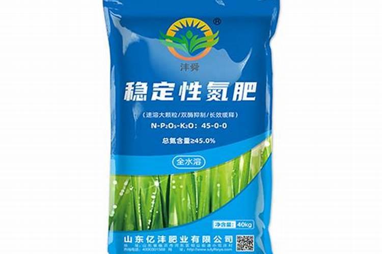 海藻怎么养长的好