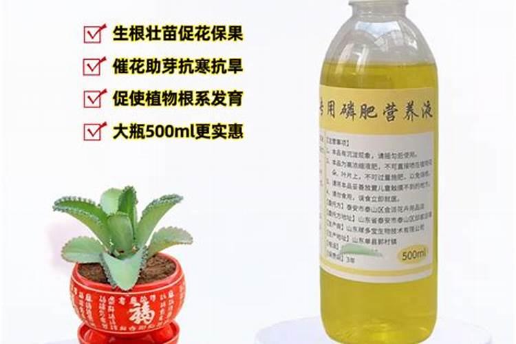 辣椒开花期尿素正确施用方法