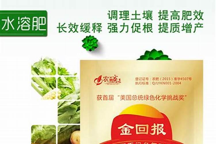 草莓用什么肥料果子又大又甜