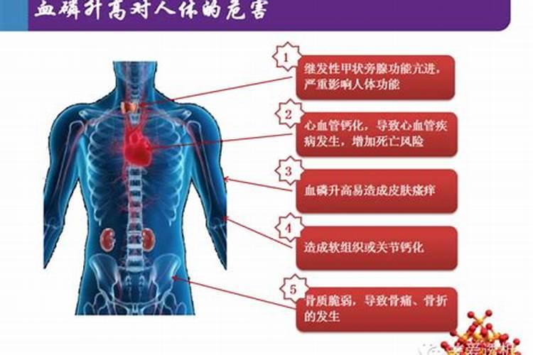 磷的危害大吗？