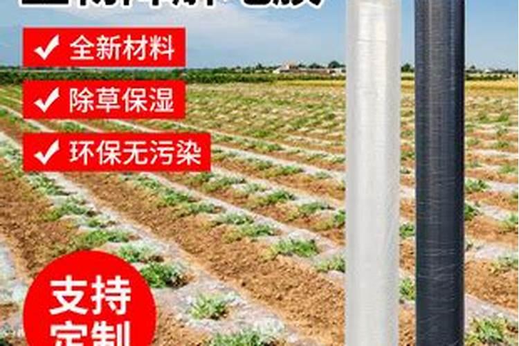 打开日本救心丹的盖子,会有密封膜吗？