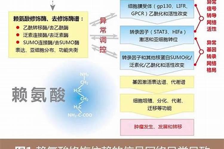 阳台上种的草莓为什么只长叶子不开花结果呢？
