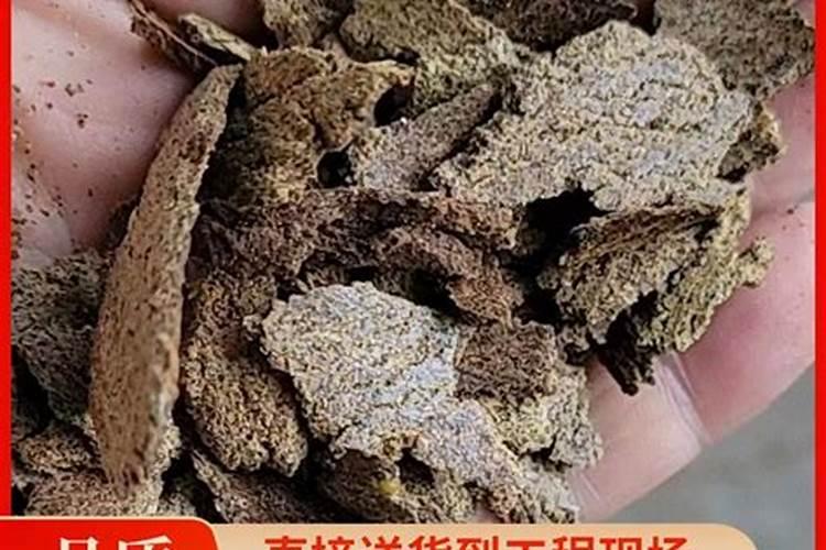 菜籽饼水肥和什么搭配好