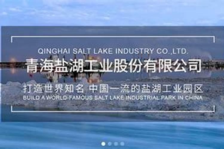 中国钾肥前十名上市公司