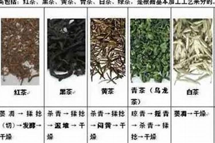 富硒茶叶的种植方法!