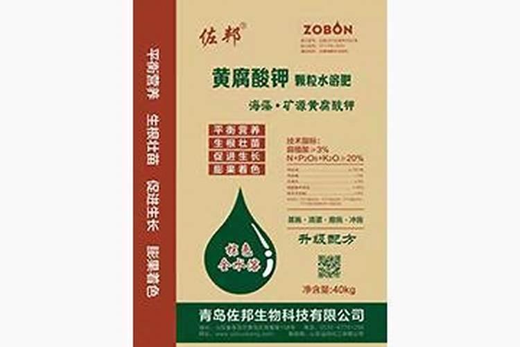 三角梅叶片薄可以喷叶面肥吗