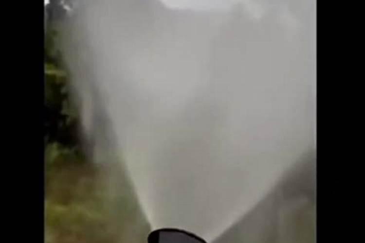 大豆叶面肥都有什么药