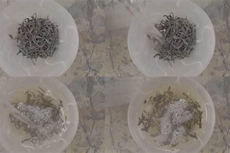 怎样自制石斛肥料水 你知道吗