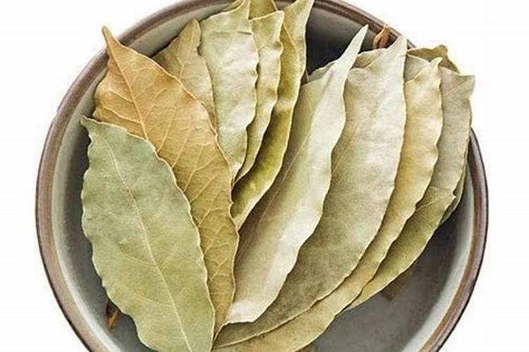 树叶.杂草是不是可以用来制作堆肥呢？？？