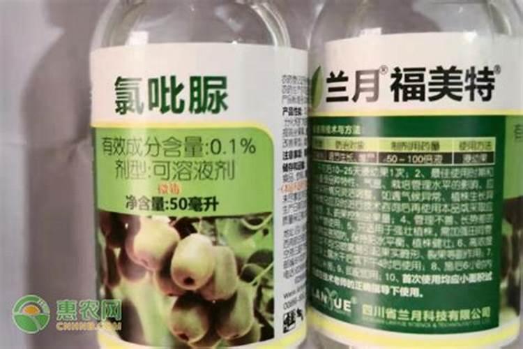 花生用什么肥料让它多结果