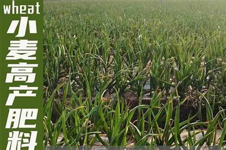 雅苒和恩泰克复合肥哪个好