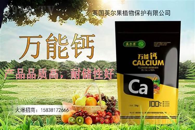 为什么花生巧施钙肥可高产？