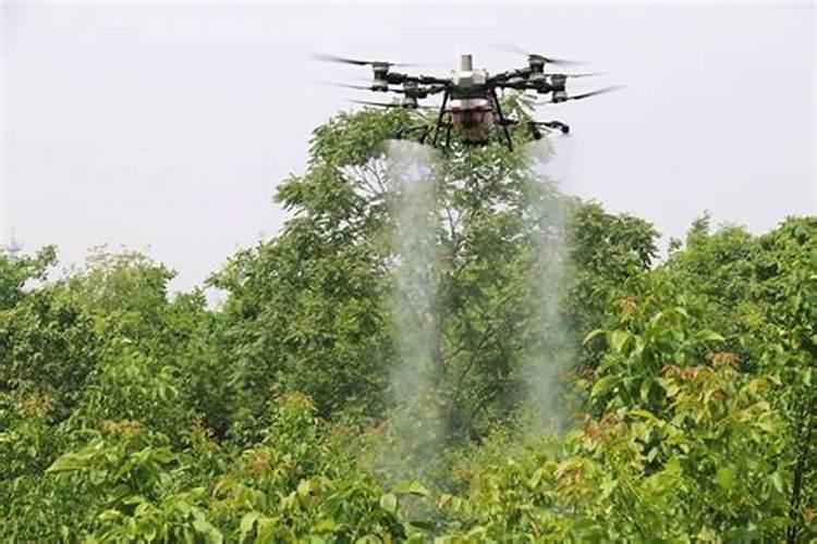 艾花硼肥核桃树什么时候喷最好