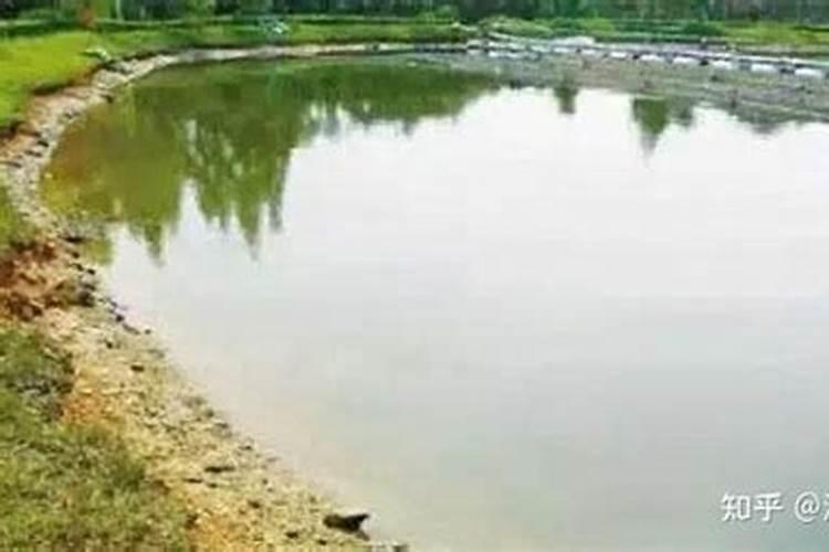 鱼塘施磷肥几天可以消石灰