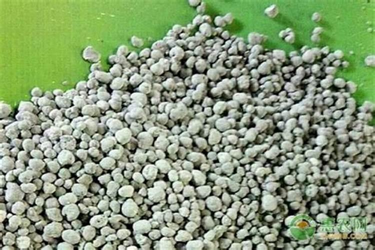 西红柿膨大果实用什么肥好