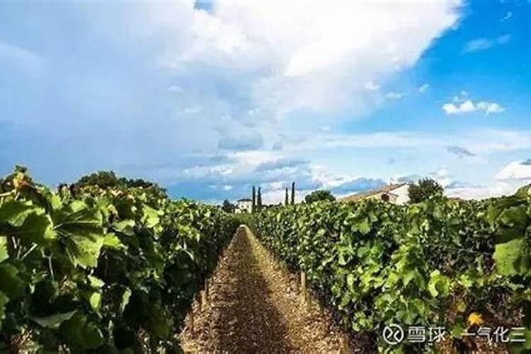 福州青盛亿家福健康养老产业有限公司怎么样？