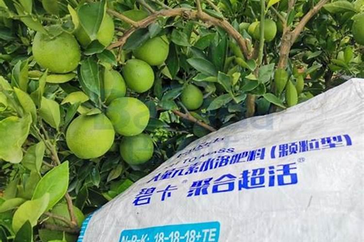 烂红薯可以做肥料吗