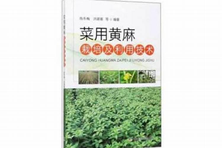 什么肥料含钾最高,含钾的肥料有什么作用