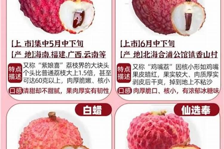 荔枝专用叶面肥什么好