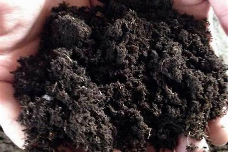 番茄能不能冲施黄腐酸钾肥料？